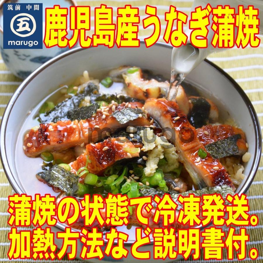 鹿児島産 特大うなぎ蒲焼 1尾 約0g前後 濃厚甘口九州醤油ベースの蒲焼タレ２本付 ４尾以上で送料無料 国産 九州産 Unagikagoshima0 1 マル五ヤフーショップ 通販 Yahoo ショッピング