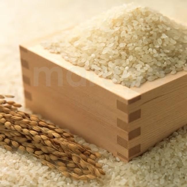 福岡県産(中間市) 夢つくし 3kg 発送前に精米 使いやすい 福岡県産(中間市) 夢つくし 3kg 発送前に精米 使いやすい