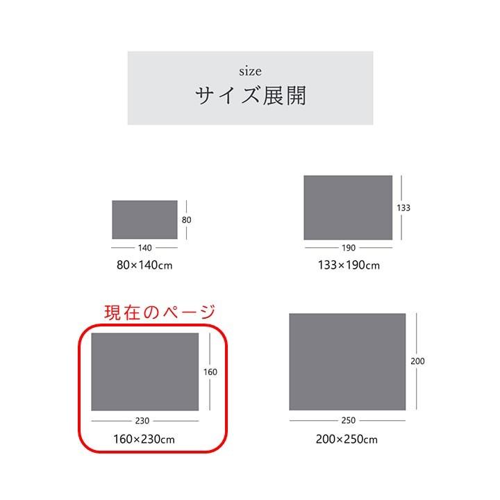 高級カーペット トルコ製 160 × 230 長方形 ウィルトン織り 北欧 モダン 高耐久 おしゃれ｜marugoto-lifestyle｜09