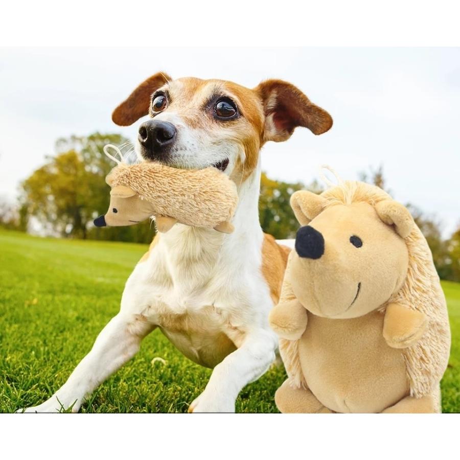 犬用おもちゃ　犬　噛むおもちゃ　玩具　犬用ボール　いぬ　ドッグボール　ハリネズミ　犬おもちゃお｜maruhachipetshop｜06