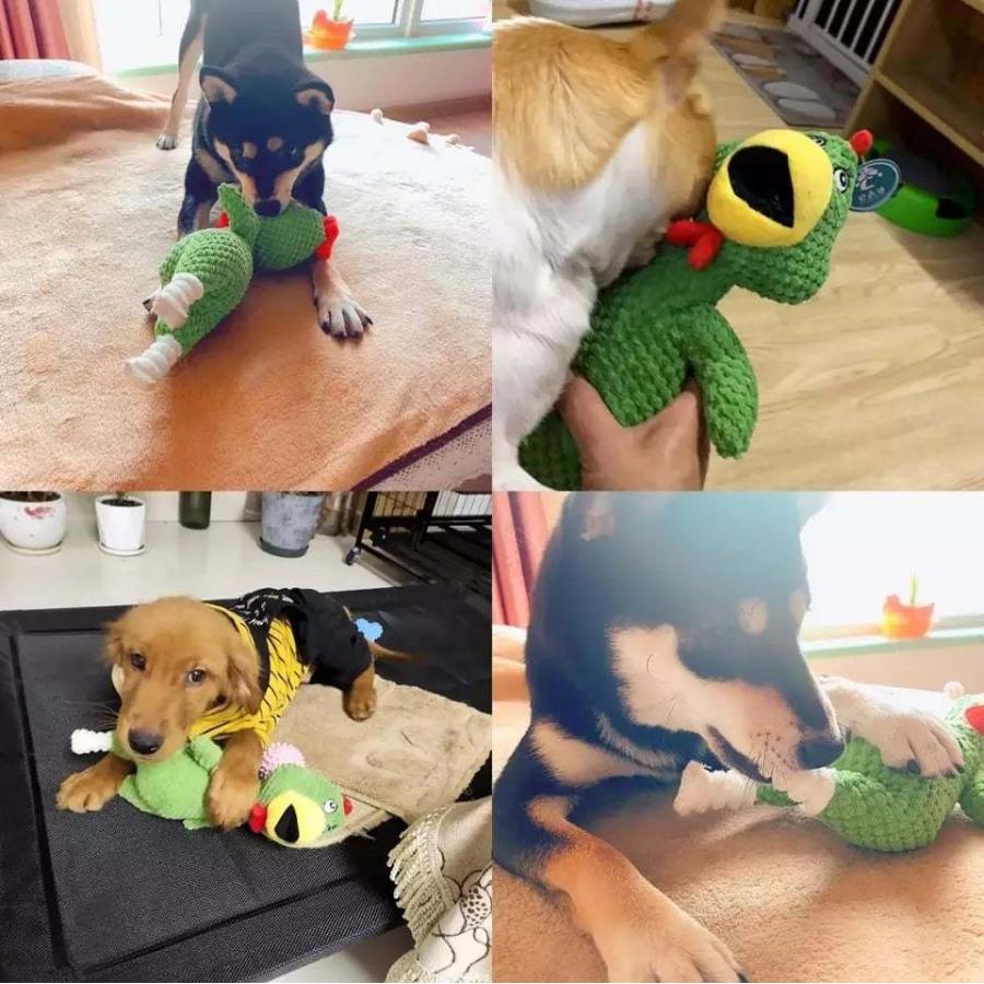 犬用おもちゃ 犬 噛むおもちゃ 玩具 人気ブランド多数対象 犬用ボール ドッグトレーニング 鶏 いぬ 犬おもちゃけ