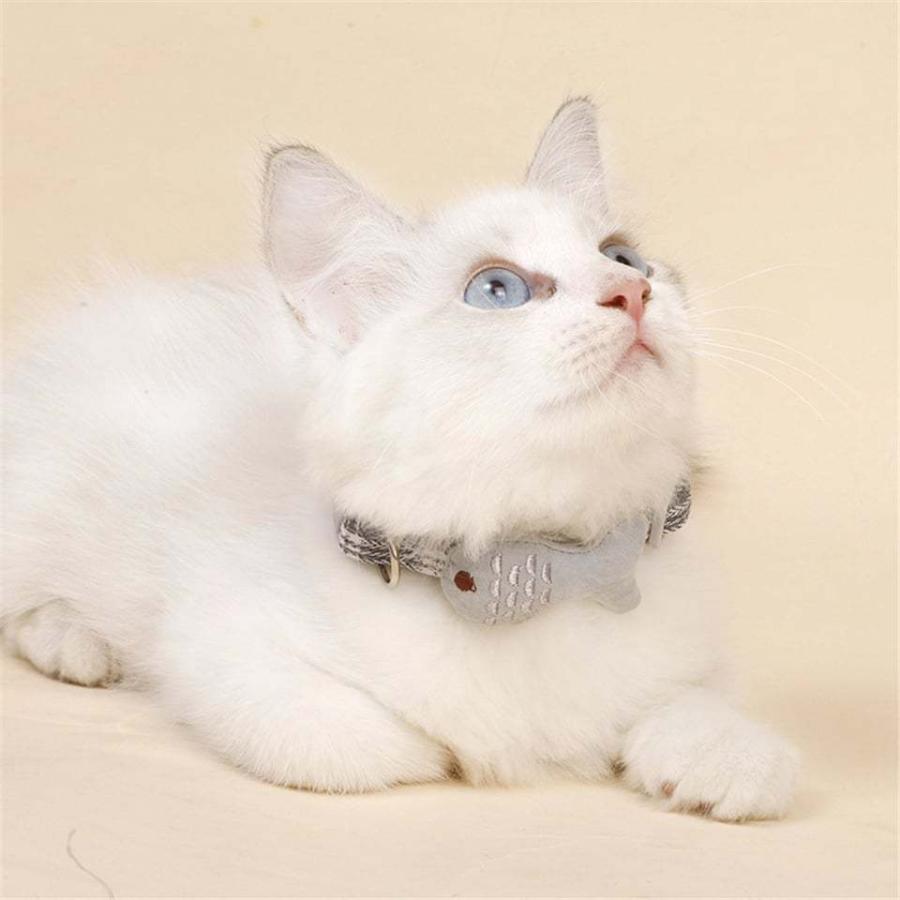 ブルードット、わんちゃん猫ちゃん用襟つき首輪