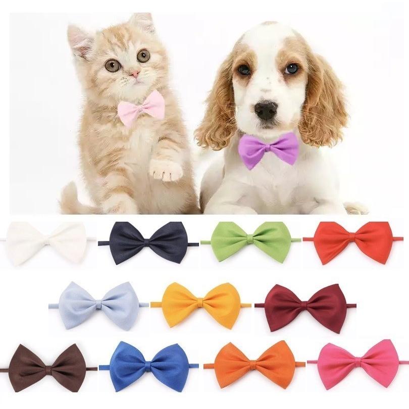 ペット用首輪 小型犬用首輪 猫用首輪 いぬ首輪 ねこ首輪 単純デザイン パーティリボン 首輪リボンえ マルハチジャパンyahoo 店 通販 Yahoo ショッピング