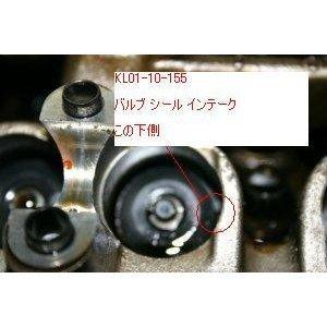 ソテツ　斑入り　バルブ10センチのデカ玉❗ ロードスター ガイド バルブ B6Z0-10-290 マツダロードスター