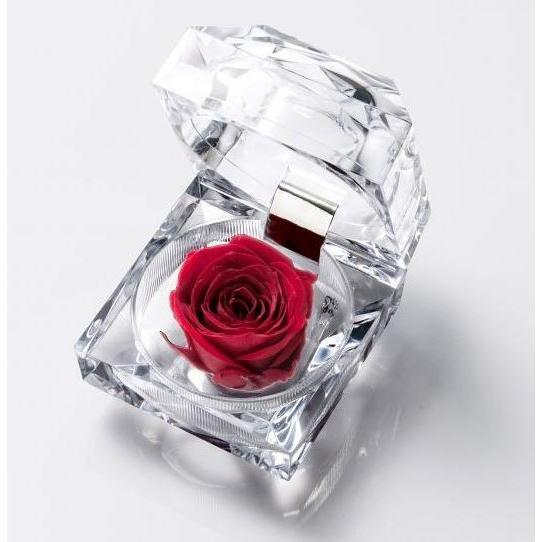 ジュエリーローズ 【専用クリアケース付 】プリザーブドフラワー