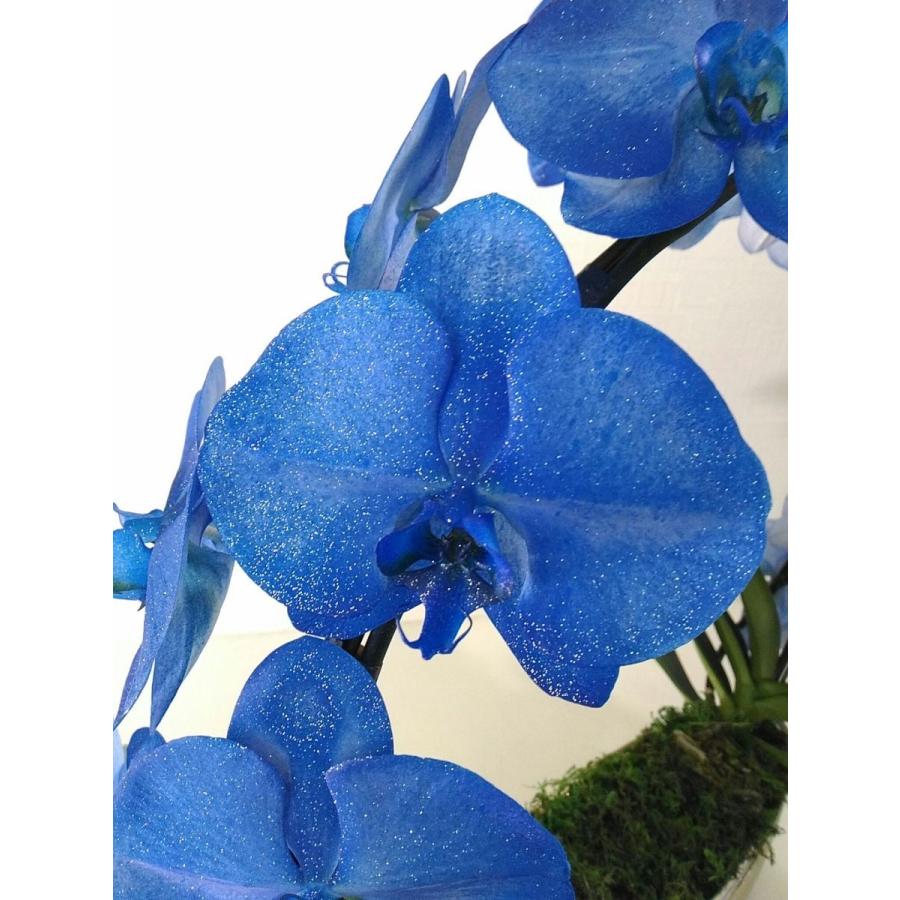 遊美蘭ダイヤモンドネイビー リング 胡蝶蘭白大輪 【営業日から3日以降