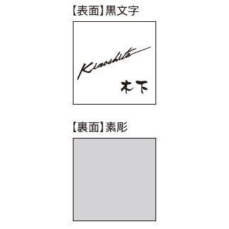クリアーガラス(黒文字＆素彫) 200角 GPL-208 福彫 表札 : 丸花金物店