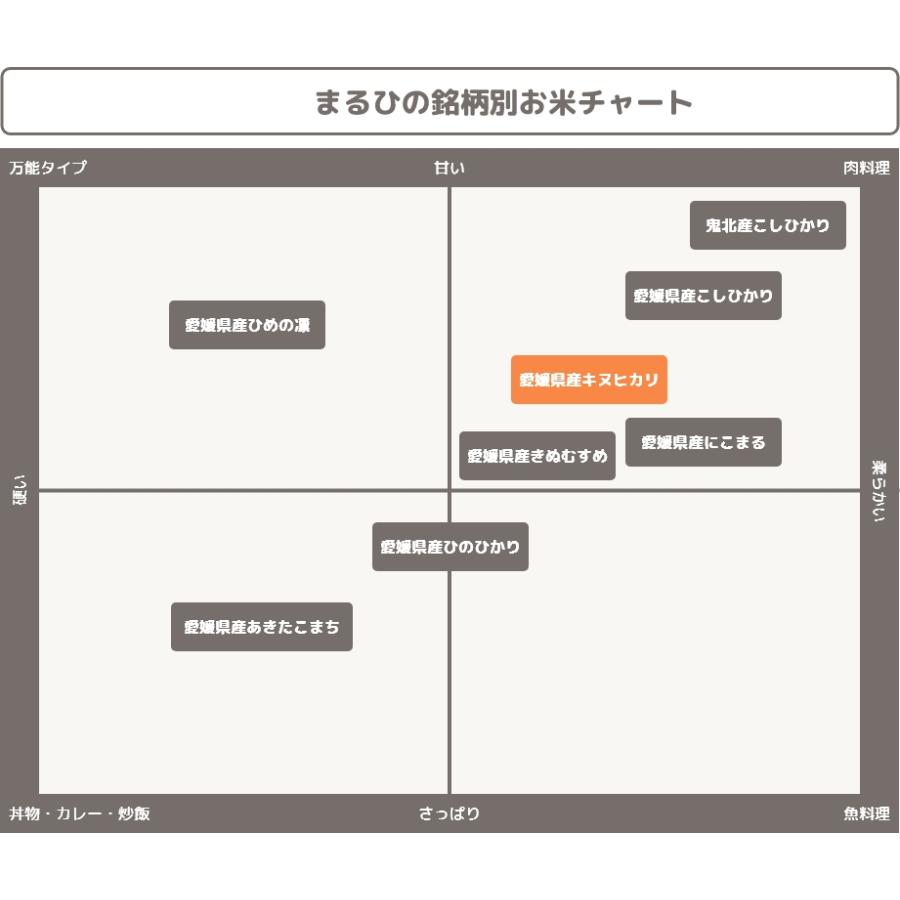 【数量限定】 愛媛県産 キヌヒカリ 20kg ( 10kg × 2 ) 令和4年産使用 白米 精米 お米 きぬひかり キヌヒカリ お米のまるひ マルヒ食糧 国産 限定品 送料無料｜maruhi0085｜05