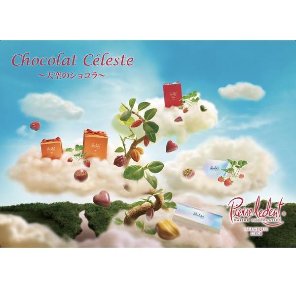 バレンタイン チョコレート 2026 ピエール・ルドン プチシャトー : 丸