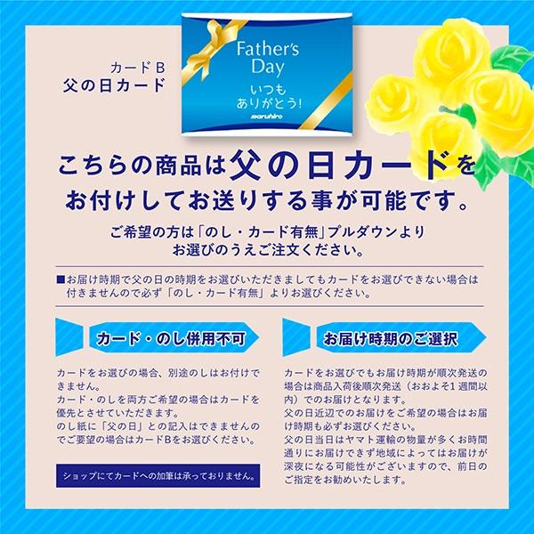 父の日 ビール 当店限定 数量限定 手土産 ビール ギフト 飲み比べ  プレモル 3種 6本セット 送料無料 プレモル 香るエール そよ風エール 中元 父の日 父の日｜maruhiro2｜05