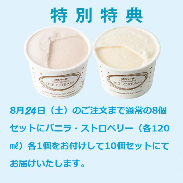 スジャータ アイスクリーム（バニラ）8個 送料込 のし・包装不可｜maruhiro2｜04