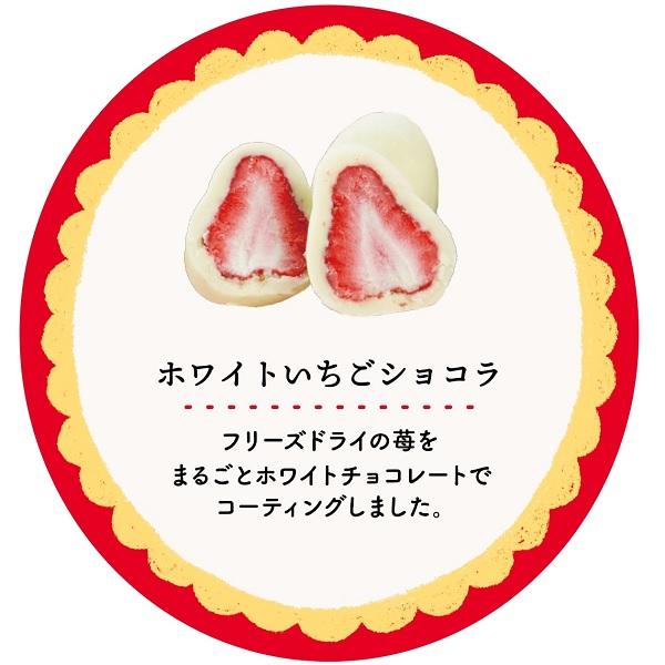 バレンタイン 2025 チョコいちごの日いちごアソート缶12個入 : 丸広
