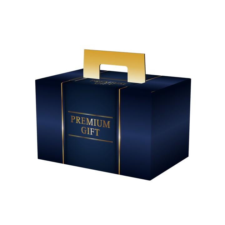 しゅん　食品サンプル　ハイボールセット　プレモル SUNTORY（サントリー） 残暑見舞い ビール 当店限定 プレミアム6缶