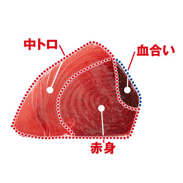 東京 鈴富天然本まぐろ断面切り 背：赤身、背トロ（中トロ） : 丸広