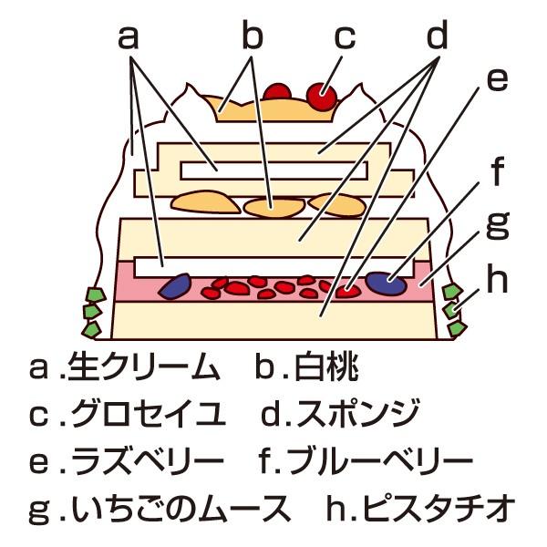 クリスマスケーキ 予約 19 送料無料 帝国ホテル ドームフリュイ 配送料込み のし 包装不可 丸広オンラインショップ Paypayモール店 通販 Paypayモール