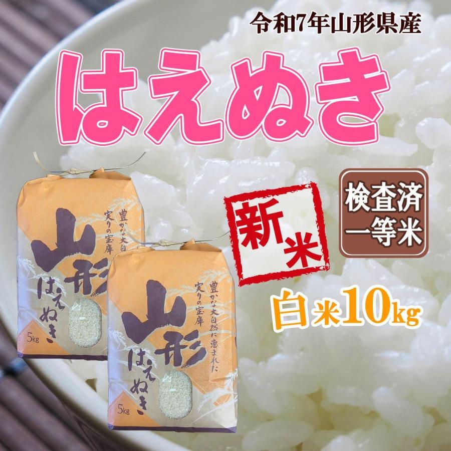 予約 令和7年 山形県産 はえぬき10kg（5kg×2） 白米 送料無料 : まるい 