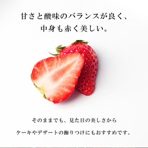 紅ほっぺ 2パック入り いちご 熊本県産 美しさと美味しさを