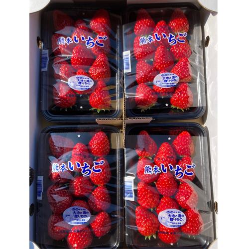 紅ほっぺ 2パック入り いちご 熊本県産 美しさと美味しさを兼ね備えた