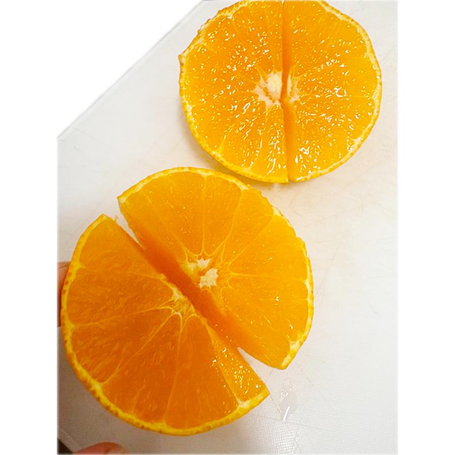 訳あり あいか 8キロ前後 紅まどんなと同品種 ゼリー食感でぷるぷる