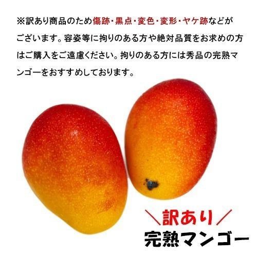 予約 7月上旬頃出荷開始予定 訳あり 完熟マンゴー 5キロ前後 九州産