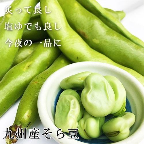 そら豆 そらまめ ソラマメ 九州産 箱込 約2kg前後 : 厳選フルーツ