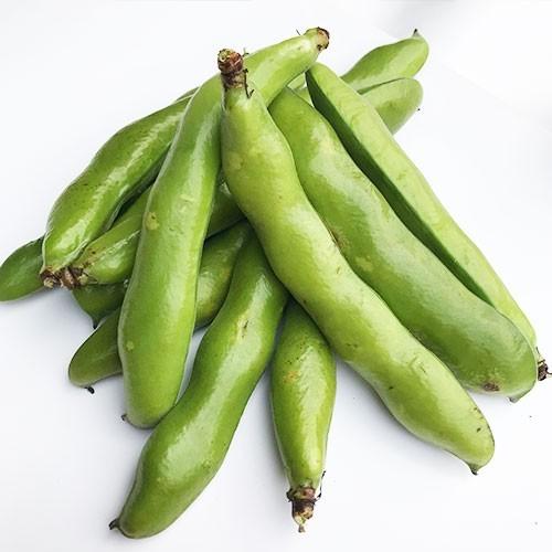 そら豆 そらまめ ソラマメ 九州産 箱込 約2kg前後 : 厳選フルーツ