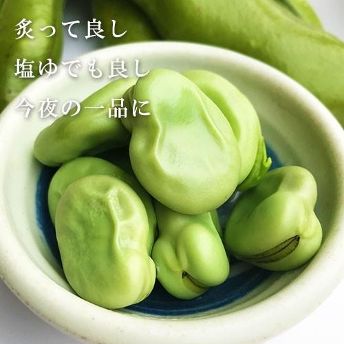 そら豆 そらまめ ソラマメ 九州産 箱込 約2kg前後 : 厳選フルーツ