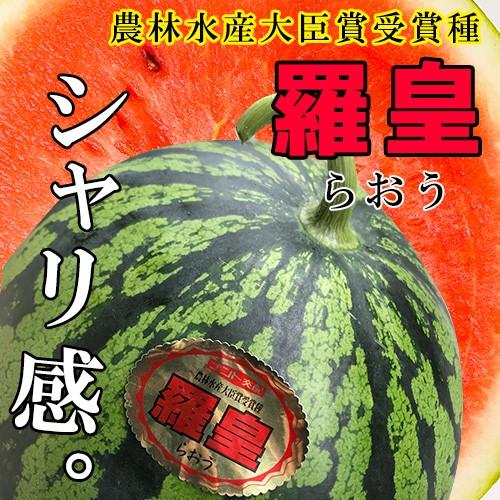 羅皇　５キロ〜　１玉入り　熊本産　羅皇ザ・スウィート 高級品種 : 30017 : 厳選フルーツ マルイチ西川商店 - 通販 -  Yahoo!ショッピング