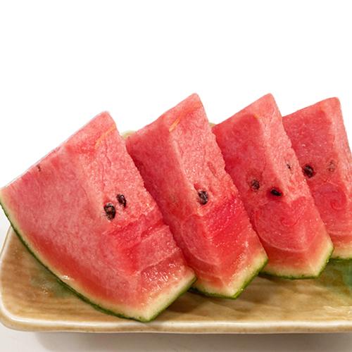 ピノガール 2玉入り 九州産 マツコの知らない世界でも紹介されました