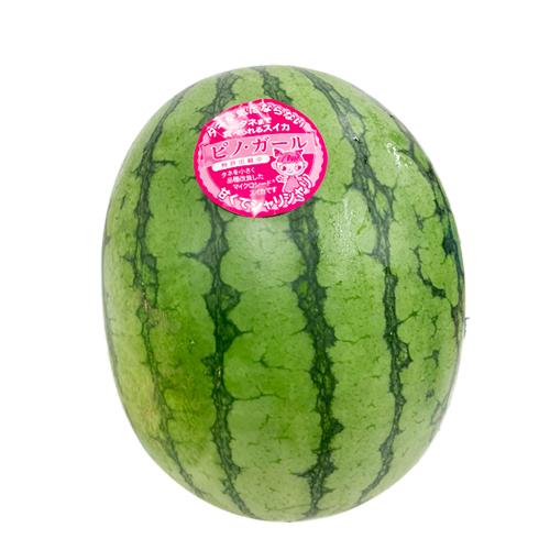 ６・鹿児島県・ますちゃん・ピノガール 6・鹿児島県・ますちゃん様専用・ピノガール - メルカリ