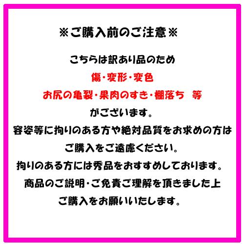 訳あり 金色羅皇 1玉入り 高級 大玉 すいか ご家庭用 贈答用不可