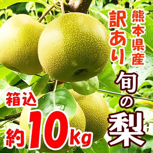ご予約完成　梨果ポン様 訳あり 梨 10キロ前後 ご家庭用 贈答用不可 : 厳選フルーツ マルイチ
