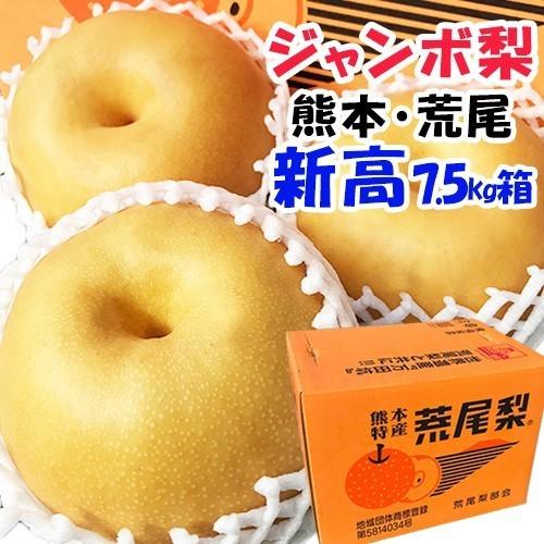 荒尾梨★(ジャンボ梨・新高)7.5kg箱大玉7玉入り〜1玉1kg超えになります 訳あり 新高 約7．5キロ ジャンボ梨 熊本 荒尾 6〜12玉入り ご家庭用
