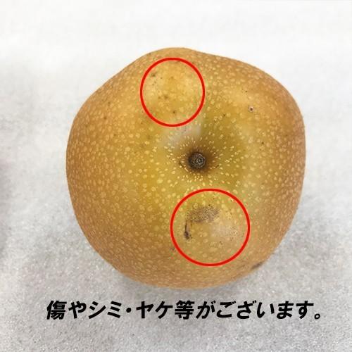 訳あり 新高 約7．5キロ ジャンボ梨 熊本 荒尾 6〜12玉入り ご家庭用