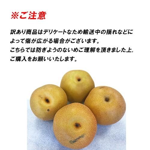 訳あり 新高 約7．5キロ ジャンボ梨 熊本 荒尾 6〜12玉入り ご家庭用
