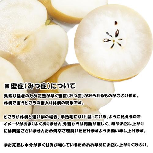 訳あり 新高 約7．5キロ ジャンボ梨 熊本 荒尾 6〜13玉入り ご家庭用
