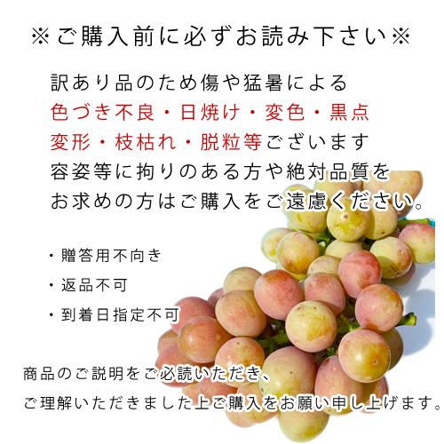 うちなんちゅ青果様用 取引用となります 琉球銘菓くがにやぁ くがに菓子本店 くがにちんすこう（16個入り