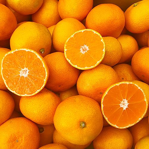 ハウス蜜柑 1キロ前後 中玉〜小玉 みかん ご家庭用 完熟 糖度が高く
