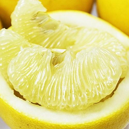 果物 9#1#9#10 パール柑 秀品 約9キロ 熊本産 文旦 : 厳選フルーツ マルイチ西川商店