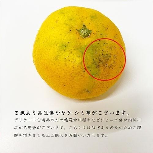 訳あり 小玉みかん 約5キロ 熊本産 完熟蜜柑 ご家庭用 : 厳選フルーツ