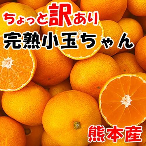訳あり　小玉みかん　約２０キロ　熊本産　完熟蜜柑　ご家庭用｜maruichi-kudamono
