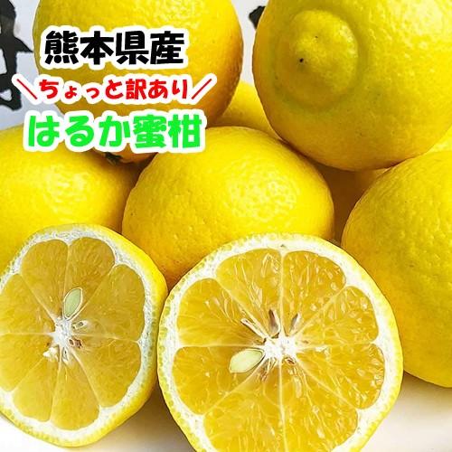 【ꕤ419】はるか『ご家庭用』熊本みかん（20kg） 訳あり はるか 約4キロ前後 熊本産 奇跡の柑橘 ご家庭用 : 厳選