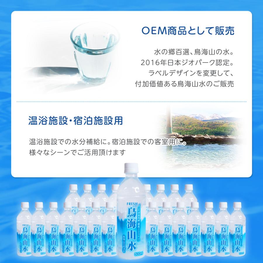 国産 ミネラルウォーター 500mI 24本入り1ケース 鳥海山水 長期保存