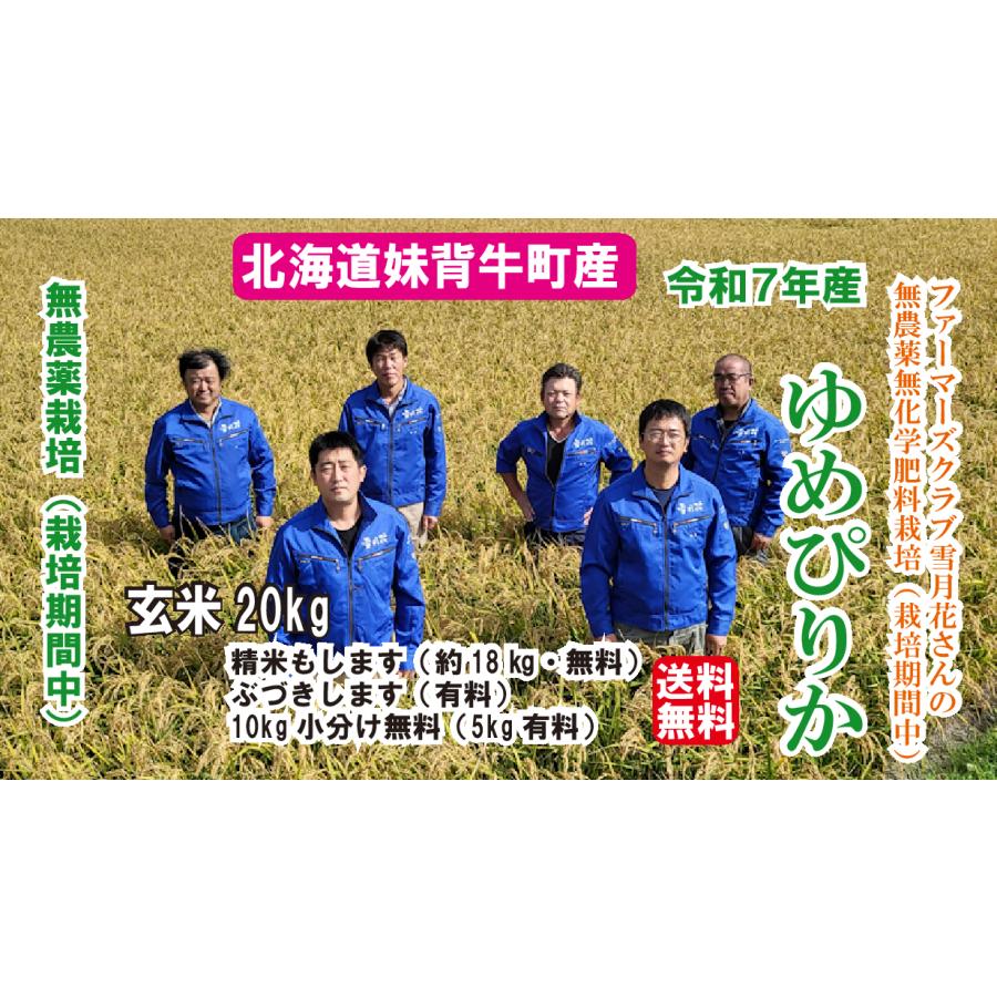 ☆生栗☆9キロ☆中山産☆無農薬☆ゆうパック送料無料☆