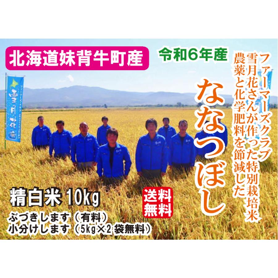 完売御礼【6年産】 北海道米 特別栽培 妹背牛産 ななつぼし 10キロ 