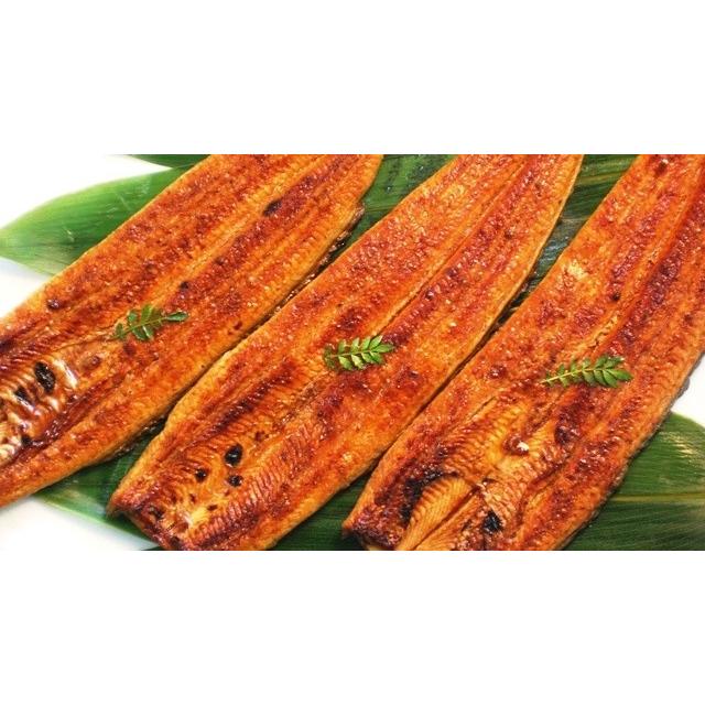 冷凍便 静岡うなぎ漁業協同組合 静岡産うなぎx2尾（たれ、山椒付き