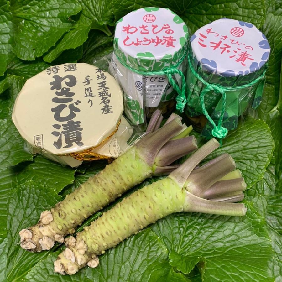 産地直送!伊豆・天城の本わさび・わさび漬け】わさびセット 5000円 :ws-007:丸岩安藤わさび店 - 通販 - Yahoo!ショッピング 産地直送!伊豆・天城の本わさび・わさび漬け】わさびセット 5000円 :ws-007:丸岩安藤わさび店 - 通販 - Yahoo!ショッピング