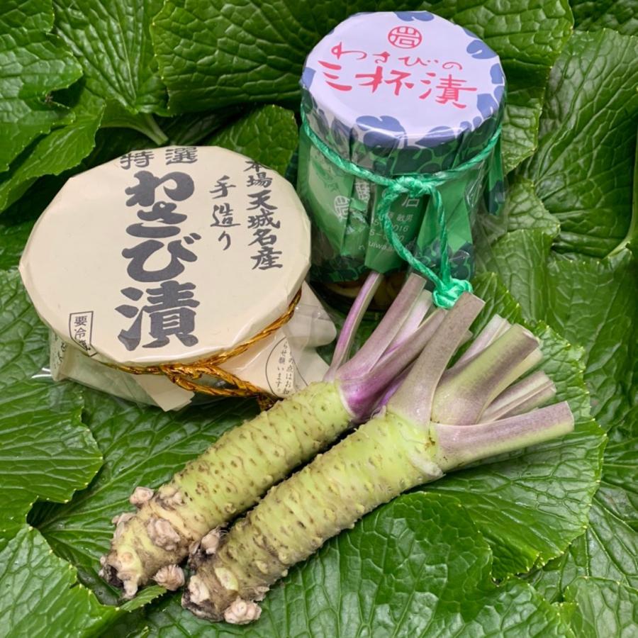 産地直送！伊豆・天城の本わさび・わさび漬け】わさびセット 3600円