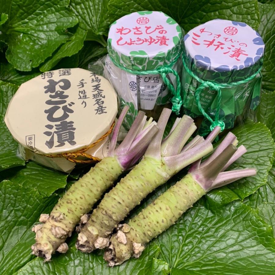 産地直送！伊豆・天城の本わさび・わさび漬け】わさびセット 6000円