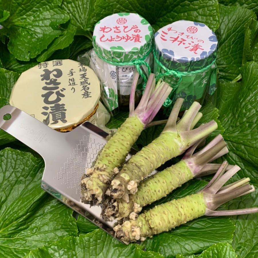 伊豆天城産山葵訳あり500g 産地直送！伊豆・天城の本わさび・わさび漬け】わさびセット 9700円